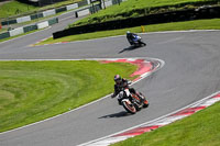 cadwell-no-limits-trackday;cadwell-park;cadwell-park-photographs;cadwell-trackday-photographs;enduro-digital-images;event-digital-images;eventdigitalimages;no-limits-trackdays;peter-wileman-photography;racing-digital-images;trackday-digital-images;trackday-photos